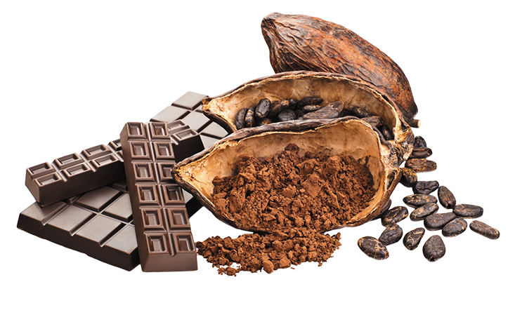 Cascadia cocoa